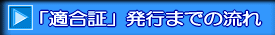 �u�K���؁v���s�܂ł̗��� 